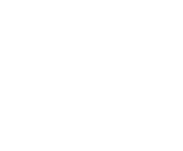 Evolution games at Vip Spins Casino
